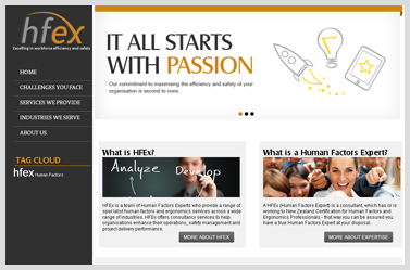 HFex- Creative WordPress Website which offers consultancy services