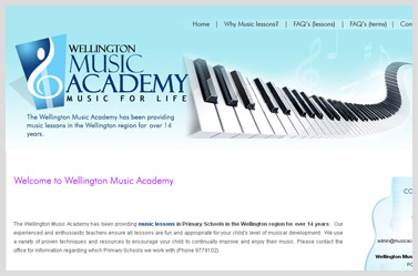 Wellington Music Academy- website of professionals musicians