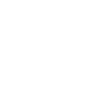 iPhone icon